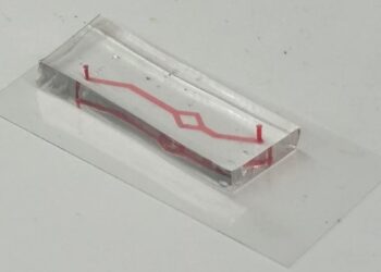 Un vaisseau sanguin miniature bouleverse le monde de la cardiologie