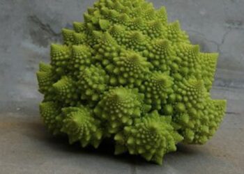 Une puce informatique peut-elle avoir une perte d'énergie nulle dans 1,58 dimension ?