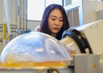 Déchets alimentaires : et si la solution à la pollution plastique était là ?