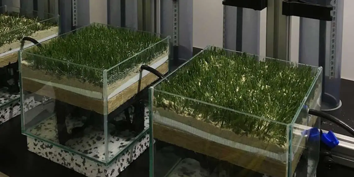 Gazon artificiel : une innovation qui fait chuter la température de 25°C