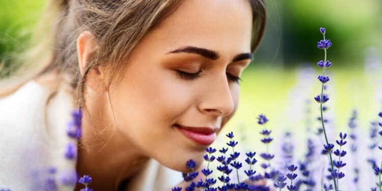 Quand l'IA redonne vie aux odeurs disparues de notre passé