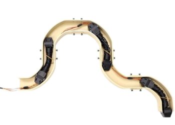 Un biceps artificiel soulève 500 grammes 5 000 fois sans faillir