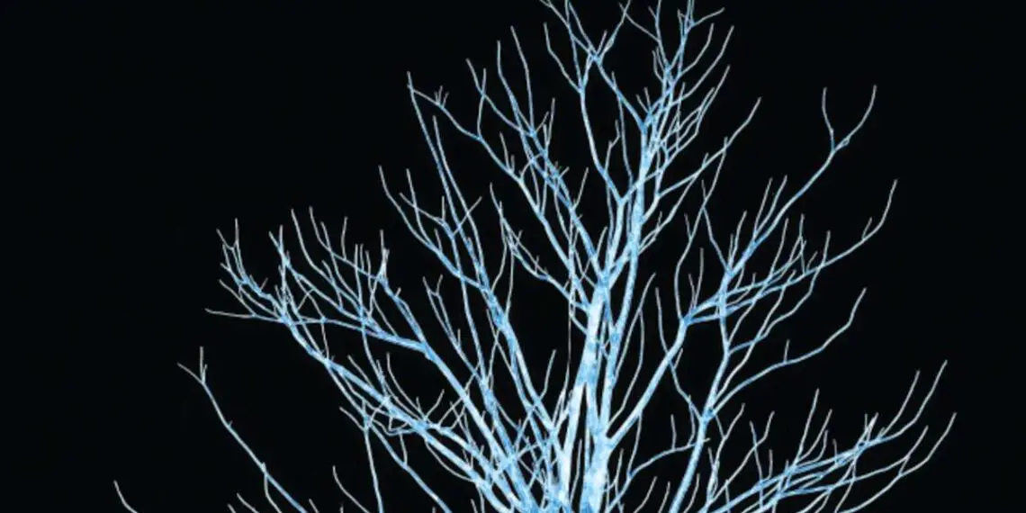 Le futur de l'ingénierie tissulaire avec l'impression 3D de glace