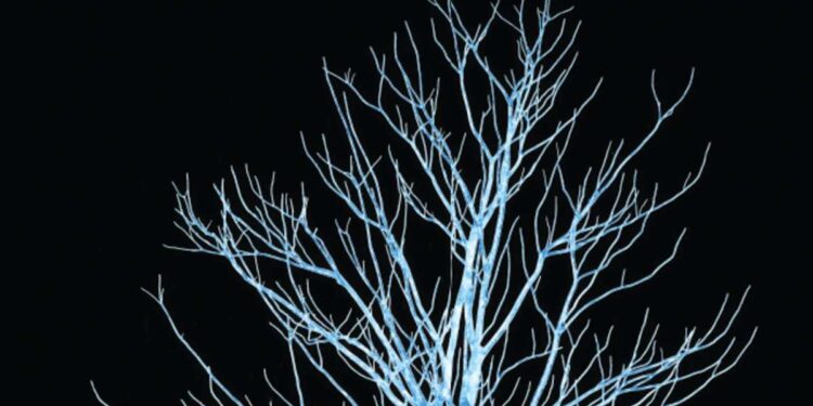 Le futur de l'ingénierie tissulaire avec l'impression 3D de glace