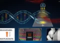 La biologie synthétique : une nouvelle ère pour le stockage massif de données ?