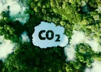 Des scientifiques révèlent un modèle innovant pour capturer le carbone
