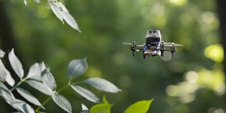Des drones de 56 grammes inspirés des fourmis pour une navigation optimale