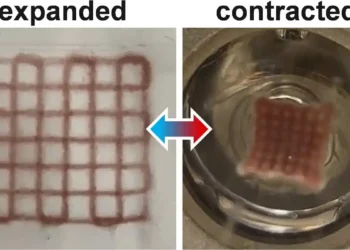 Des structures 3D qui se contractent et se dilatent à la lumière