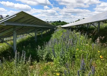 Gestion des eaux pluviales : les parcs solaires sont-elles vraiment une menace ?