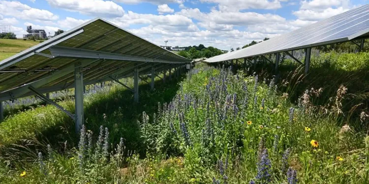 Gestion des eaux pluviales : les parcs solaires sont-elles vraiment une menace ?