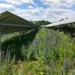 Gestion des eaux pluviales : les parcs solaires sont-elles vraiment une menace ?