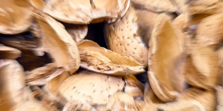 Un projet de 47,3 M$ pour booster la bioéconomie en Californie