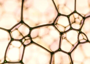 Des membranes nanofluidiques améliorent l'efficacité de la conversion de l'énergie bleue