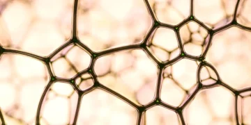 Des membranes nanofluidiques améliorent l'efficacité de la conversion de l'énergie bleue