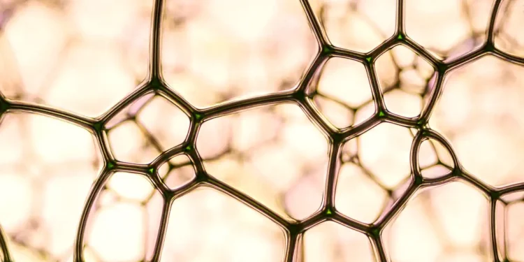 Des membranes nanofluidiques améliorent l'efficacité de la conversion de l'énergie bleue