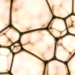 Des membranes nanofluidiques améliorent l'efficacité de la conversion de l'énergie bleue