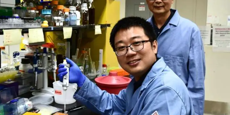 Le fluor intégré de manière écologique : une innovation majeure dévoilée