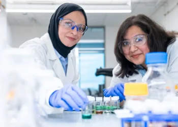 Un moyen plus rapide et plus propre d'extraire le lithium des déchets de batteries