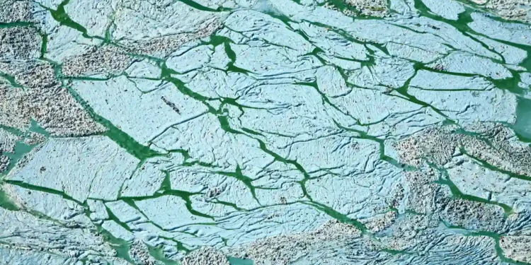 Comment les eaux usées pourraient résoudre la crise mondiale du phosphore