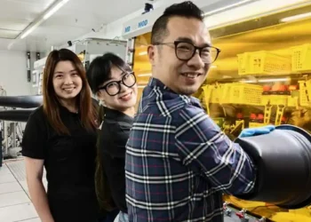 Un traitement moléculaire inédit promet des cellules solaires plus stables et efficaces