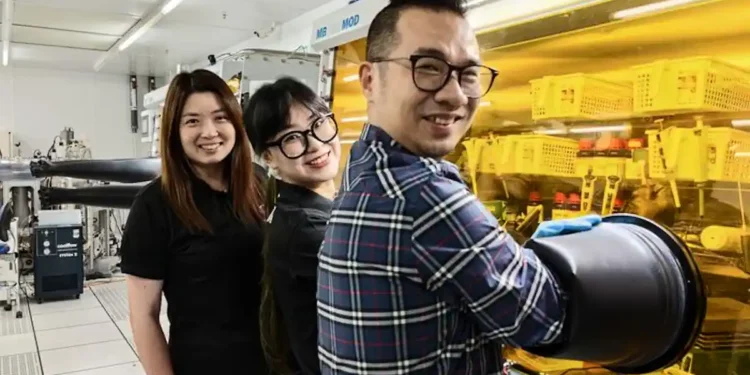 Un traitement moléculaire inédit promet des cellules solaires plus stables et efficaces