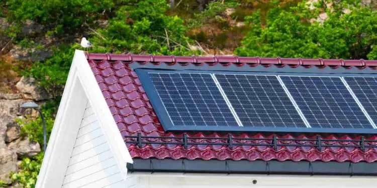 Autoconsommation : comment les Français deviennent producteurs d'électricité ?