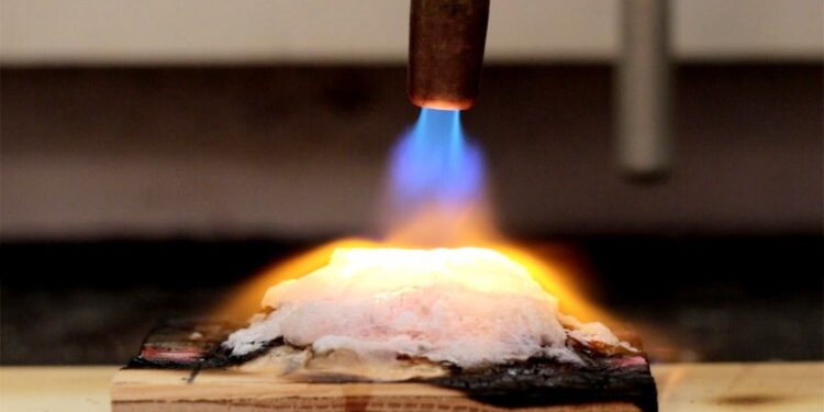 Un gel innovant pourrait-il sauver vos biens des incendies de forêt ?