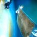 Des films de nanofeuilles produits en seulement 15 secondes