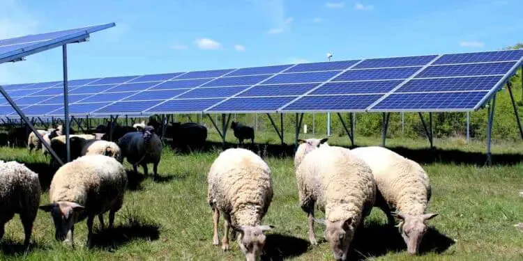 300 000 panneaux solaires effacent le passé militaire de deux anciennes bases