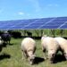 300 000 panneaux solaires effacent le passé militaire de deux anciennes bases