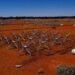 2800 galaxies passées au crible pour trouver des traces de vie extraterrestre