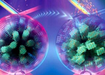 Cristaux liquides fluorescents : une arme contre la contrefaçon