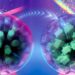 Cristaux liquides fluorescents : une arme contre la contrefaçon