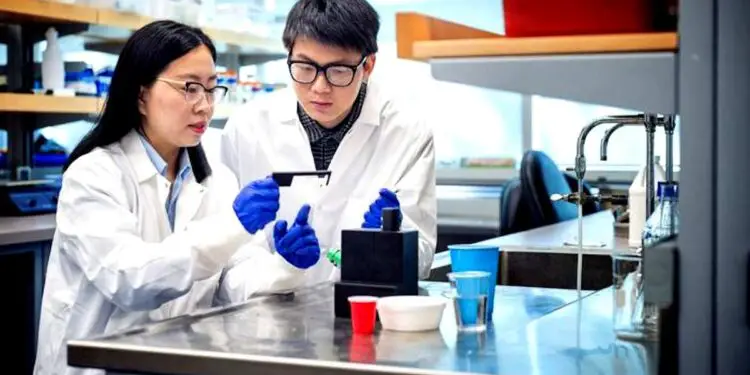 Quelle quantité de microplastiques buvez-vous ? Un outil vous l'indique en quelques minutes