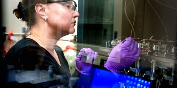 Des Lego moléculaires pour capturer les métaux rares sans polluer