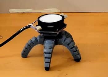 Des robots biohybrides capables de sentir et réagir grâce au mycélium