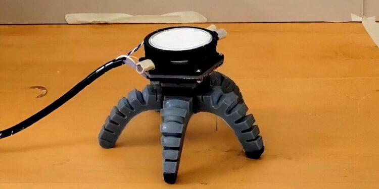 Des robots biohybrides capables de sentir et réagir grâce au mycélium