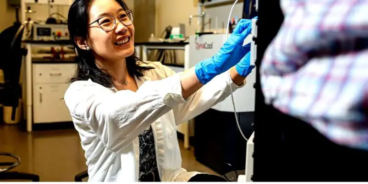 Yishu Wang explore les aimants quantiques pour des dispositifs écoénergétiques