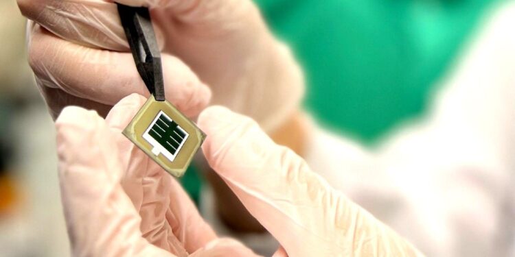 33,7% : le nouveau record d'efficacité des cellules solaires hybrides de KAUST