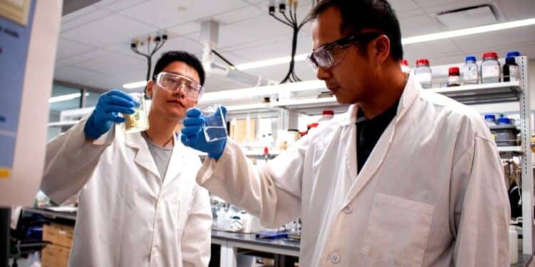 Le lithium des eaux usées, nouvelle source verte pour les batteries du futur