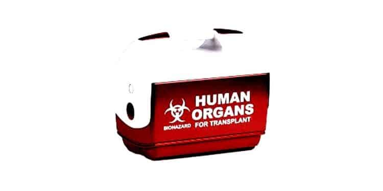 Le "nanowarming" : l'innovation qui pourrait sauver des milliers de vies