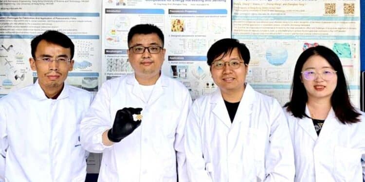 Des algues microscopiques à l'origine d'une percée dans la production de céramiques