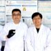 Des algues microscopiques à l'origine d'une percée dans la production de céramiques