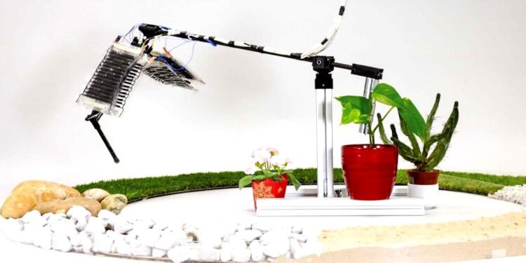 Des muscles artificiels permettent à une jambe robotisée de marcher et de sauter