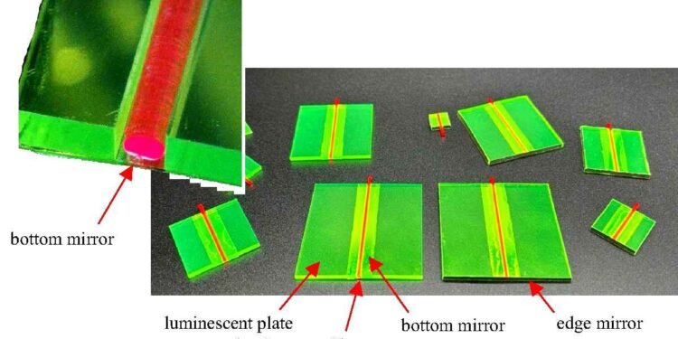 Une approche inspirée des arbres pour booster l'efficacité des panneaux solaires