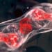 La microscopie 3D accessible à tous grâce à une invention japonaise ingénieuse