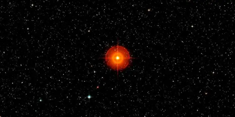 Des images uniques montrent des bulles de gaz à la surface d'une étoile géante rouge