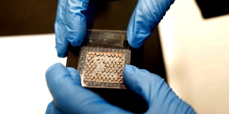 Un écran flexible inspiré du calmar pour stocker et afficher des images cryptées