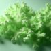 Le séchage ultrasonique transforme la production de nanocellulose