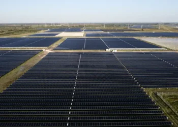 Danish Fields et Cottonwood : des centrales solaires titanesques